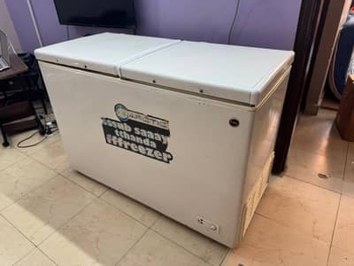 Pel 2 door deep freezer