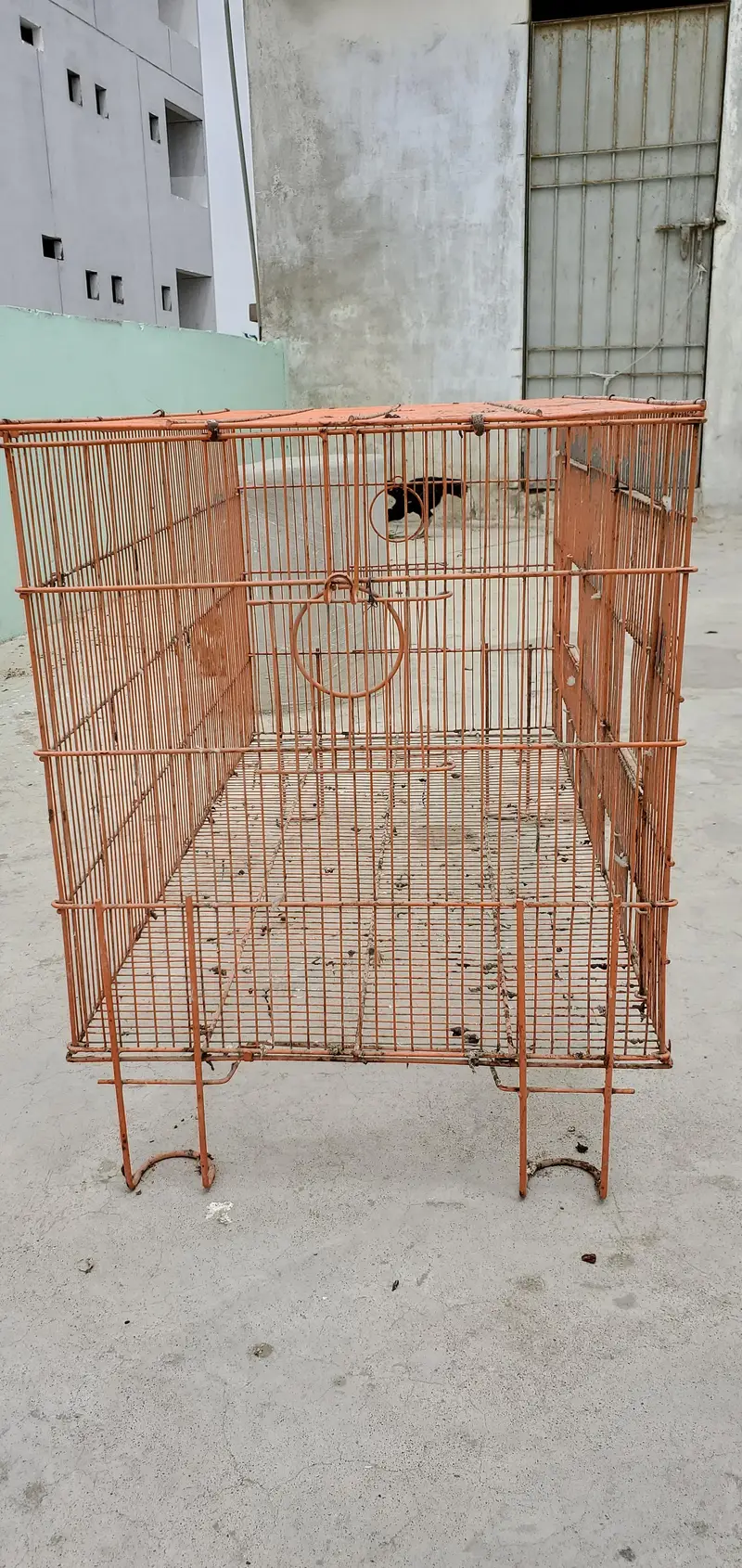 2 Cages For Parrots, Dove, Finches etc — photo 2