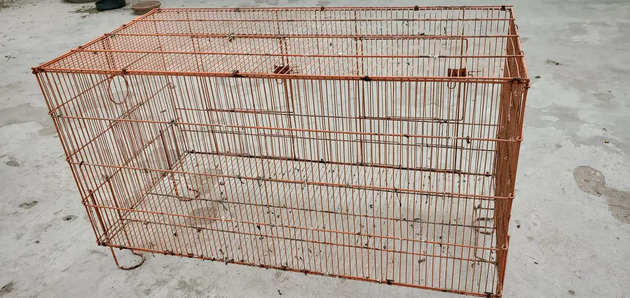 2 Cages For Parrots, Dove, Finches etc — photo 3