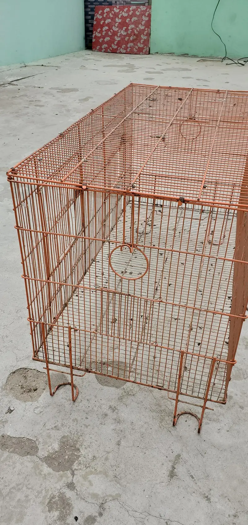 2 Cages For Parrots, Dove, Finches etc — photo 4