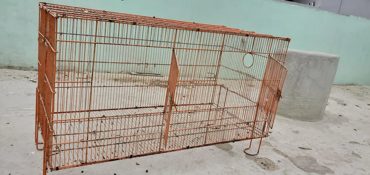 2 Cages For Parrots, Dove, Finches etc — photo 5