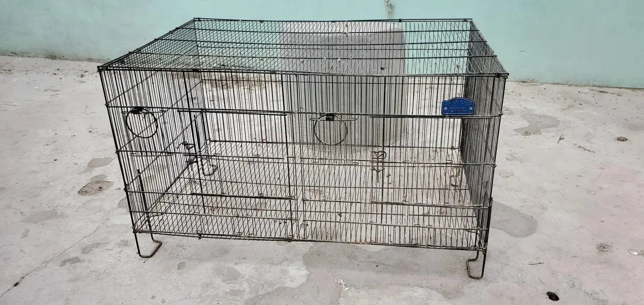 2 Cages For Parrots, Dove, Finches etc — photo 6