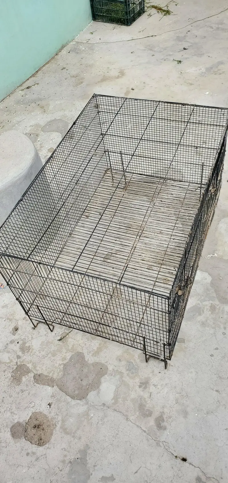 2 Cages For Parrots, Dove, Finches etc — photo 7