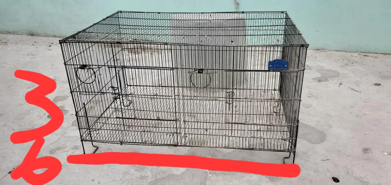 2 Cages For Parrots, Dove, Finches etc — photo 9