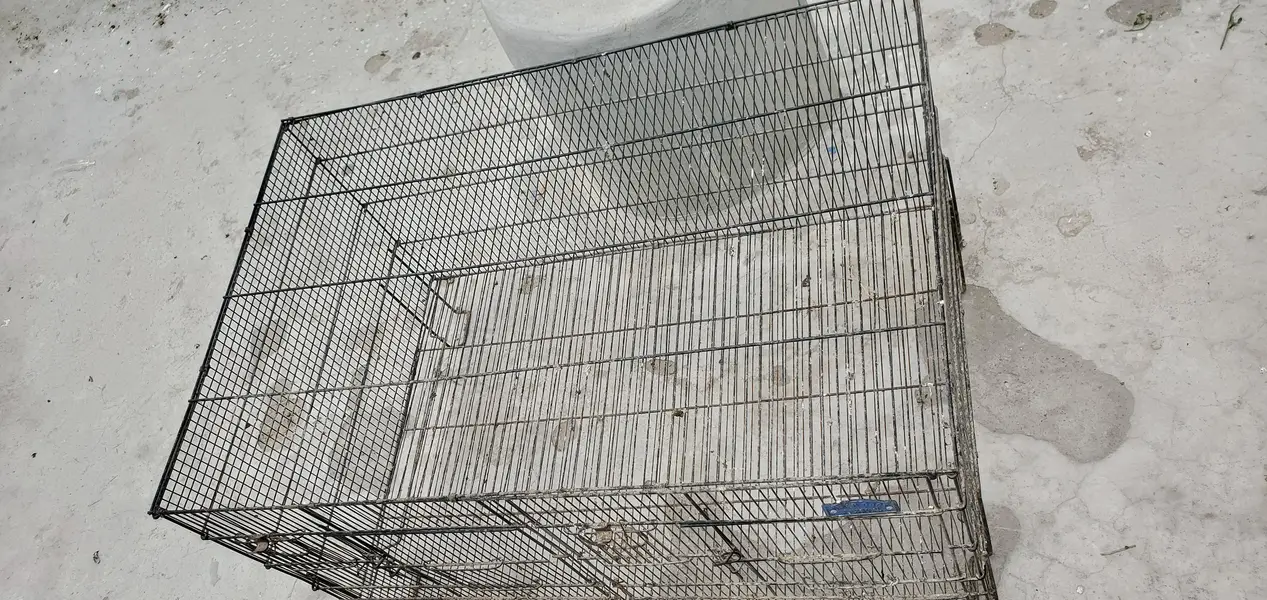 2 Cages For Parrots, Dove, Finches etc — photo 10