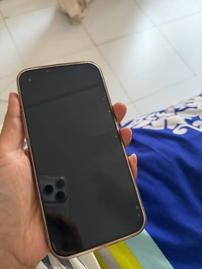 iPhone 13 Pro Max PTA Approved