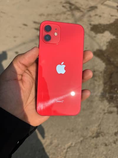 IPHONE 12 Pta Approved