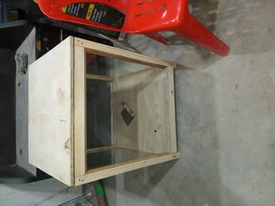 gol gappy farm all saman