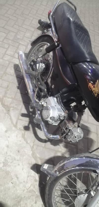 03056528131,,,, 03479041517