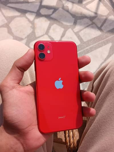 iPhone 11 jv