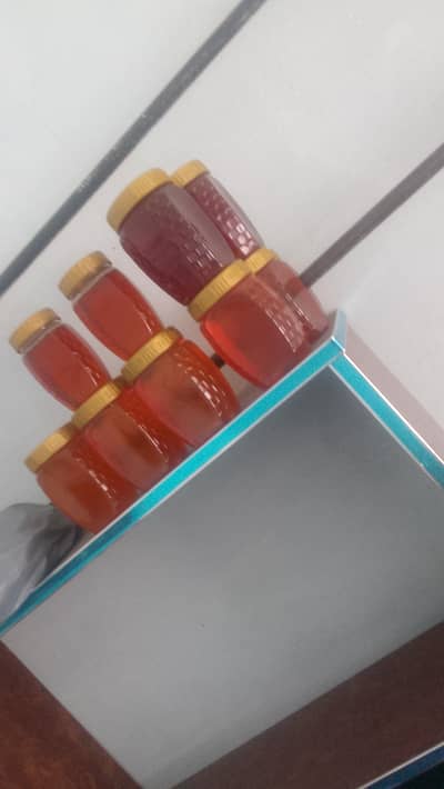 khalis shad  0-3-2--4-1--7-2-5-2--2--1