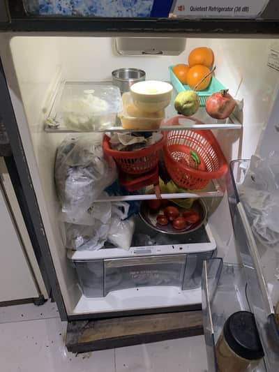 Call directly on given number 3 rack fridge with vegetable compartment