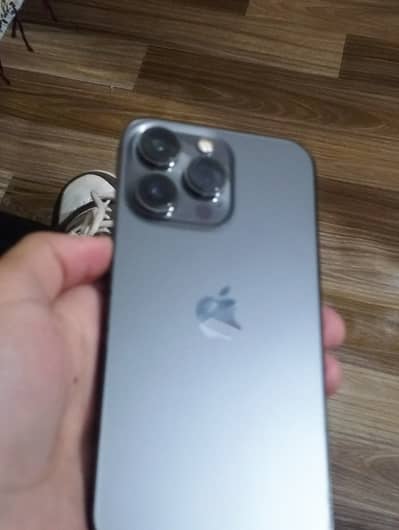 iPhone 13 Pro non pta bypass