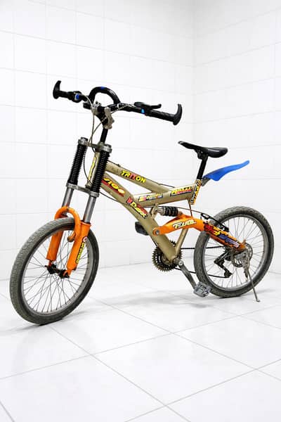 Morgan buffalo importid bicycle size 24