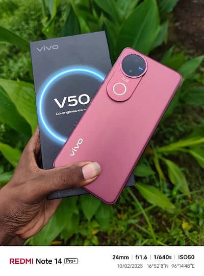 Vivo V50 Ram 12 GB Memory 256GB
