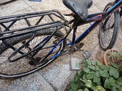 bicycle for sale