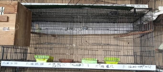 ALI R iron folding cage  4x2x1.5