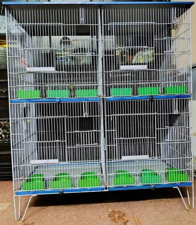 BRAND NEW CAGE 4 portion