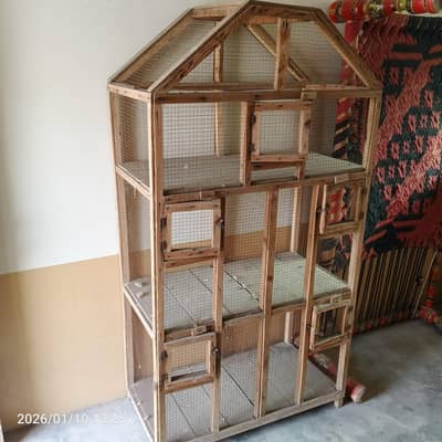 birds and cage for sale