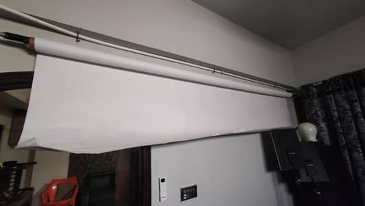 backdrop white for professional