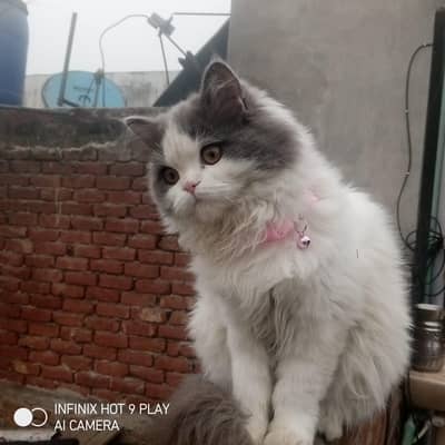 MashAllah cute and healthi female