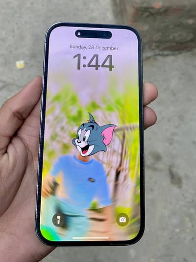 14 Pro non PTa Jv  256 GB