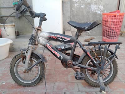 Chicago company cycle new price 18000