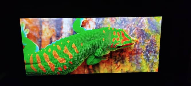 LG 34" IPS WFHD UltraWide™ Monitor 75Hz with HDR10, AMD FreeSync