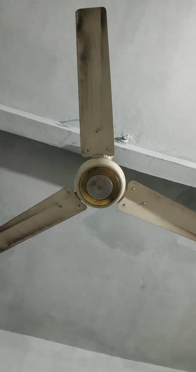 Ceiling Fan