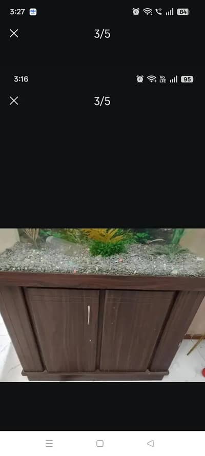 fish aquarium