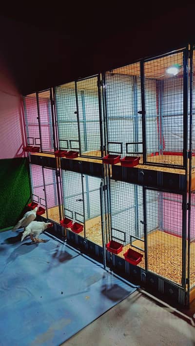 3 cage folding Karachi