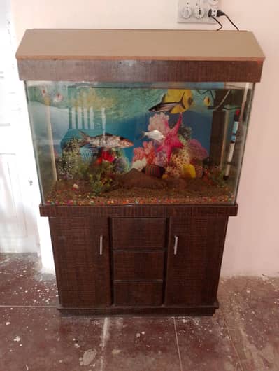 fish tank