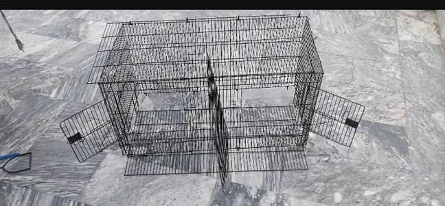 birds cage
