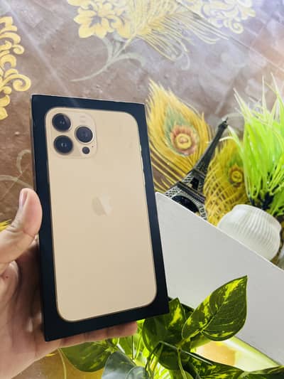 I phone 13 PM factory unlock