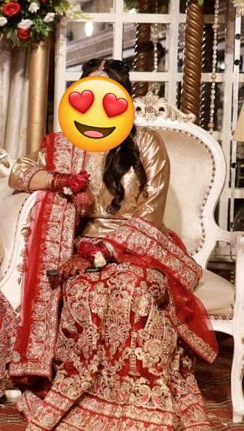 Organza net Indian lehenga