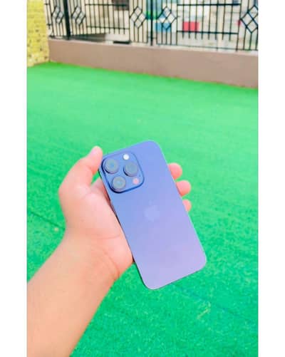 14 pro deep purple 128gb non pta gv