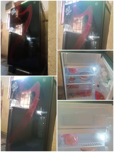 PEL Mini Fridge (One door)
