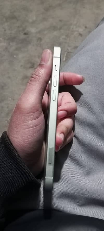 I phone 12 sea green