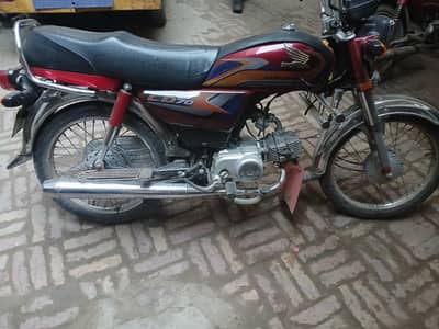 lush condition  0319 6182604