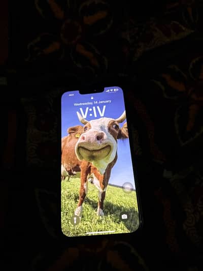 Iphone 13 pta approved with free polo case