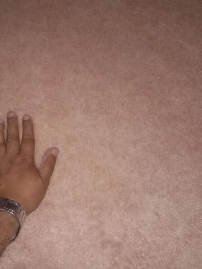 light pink clr imported room carpet