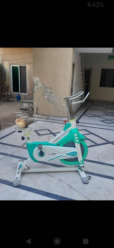 INDOOR EXERCISE BIKE