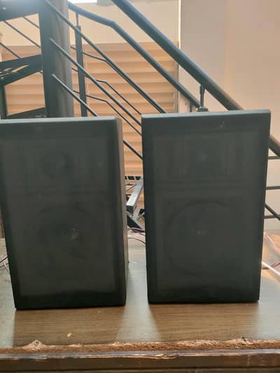 Korean speaker hai sath