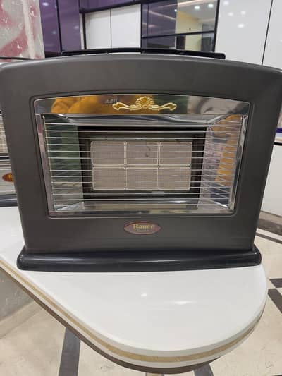 Rinnai and Ranee  Korea imported Gas heater