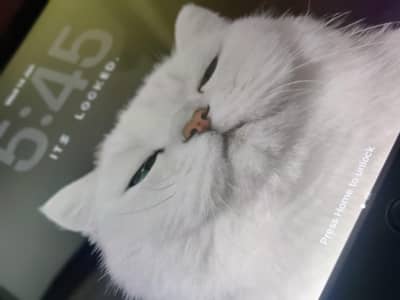 ipad 9 generation in good Condition (64gb)