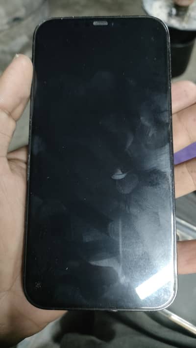 Apple iPhone 12 Pro Max