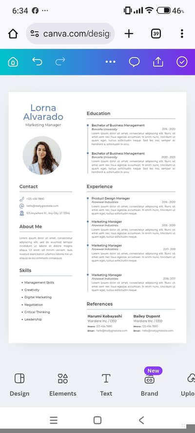 Professional CV making