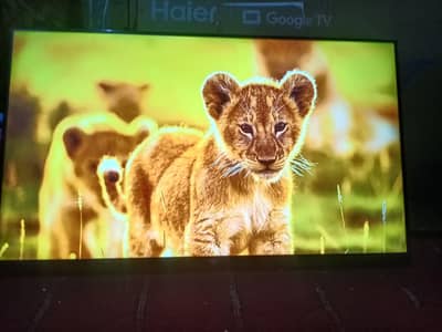 itel 43 inch full new