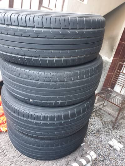 carola gli 13 madal tayer  03056158988