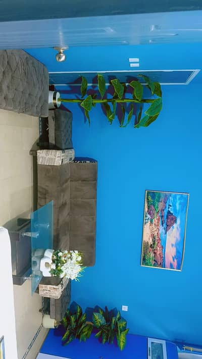 Sofa set and Sofa cum bed with Puffy set